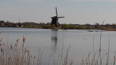 Foto ©Jacco Willems